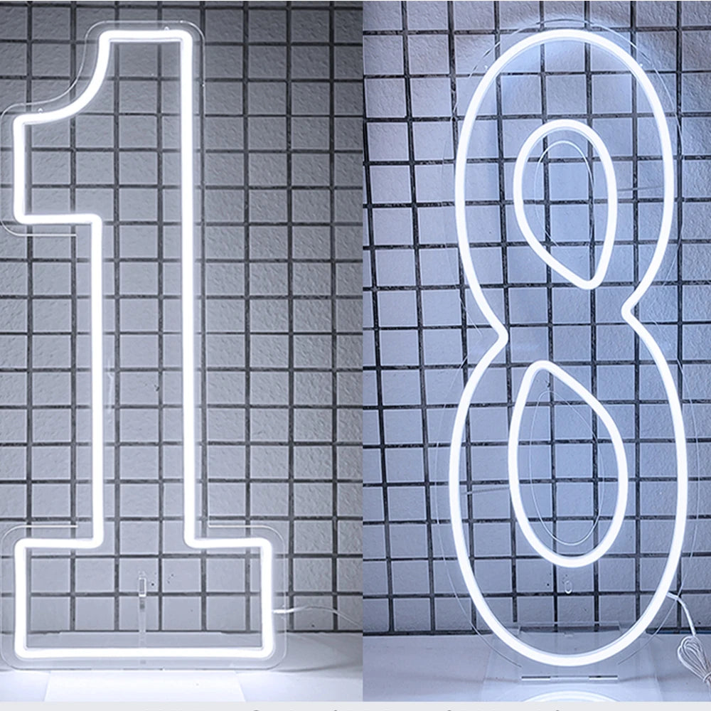 76cm 100cm LED Neon Number Light for Birthday or Wedding