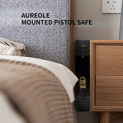 Quick Access Handgun Safe with Fingerprint and Key