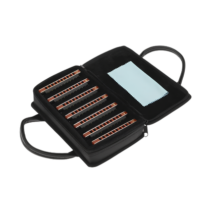 Professional 10-Hole Diatonic Harmonica Set 7 Keys