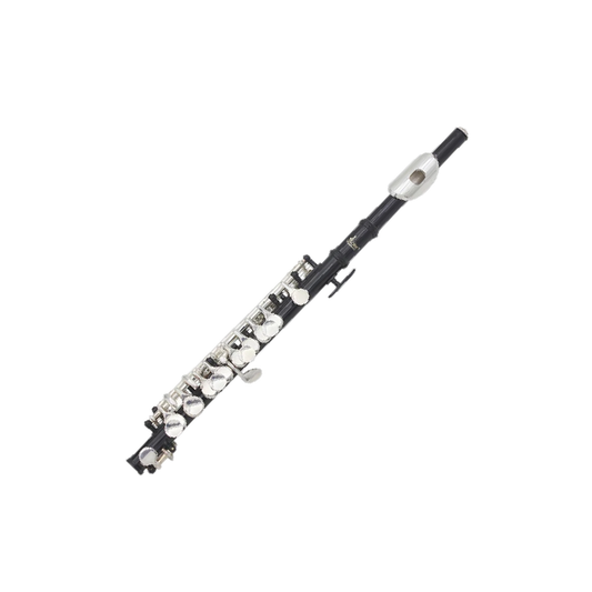 C Key Black Piccolo Flute Set with Carry Case
