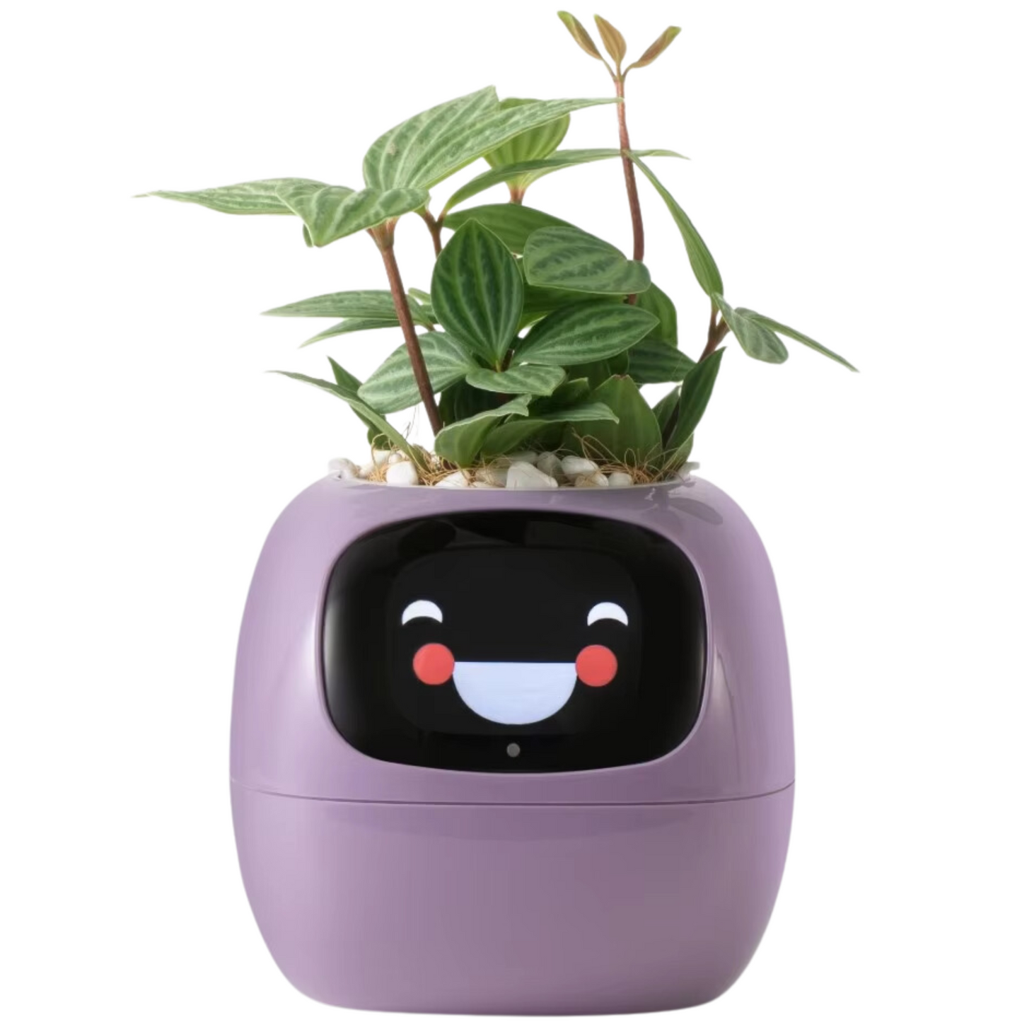 Smart Plant Pot with AI 49 Expressions and 7 Sensors