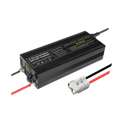 60A Smart 12V LiFePO4 Battery Charger
