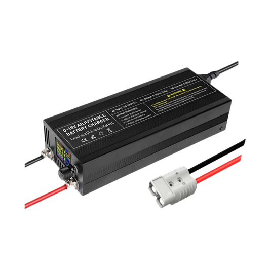 60A Smart 12V LiFePO4 Battery Charger