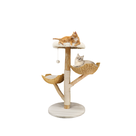 Kitten Cat Condo Tower with Scratcher & Activity Platforms