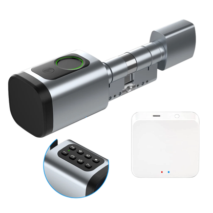 App Controlled Biometric Mortise Lock 30/30