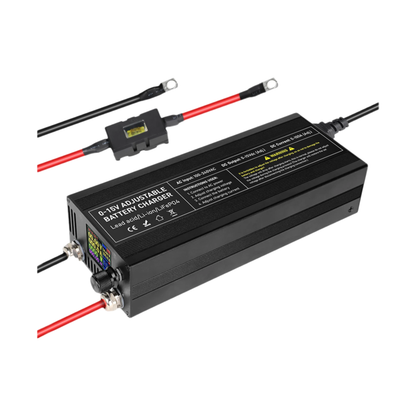 Smart 60A LiFePO4 12V Charger Adjustable Current