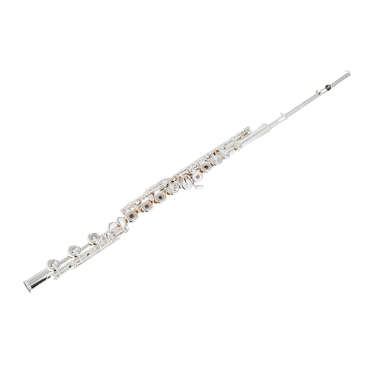 Professional Silver-Plated Flute C Key 17-Hole with Case