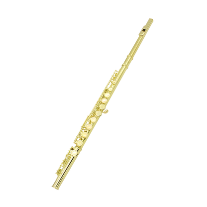 16 Hole Closed Flute Gold Plated C Key E Key