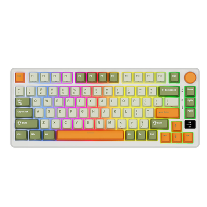 Hot-Swap RGB Mechanical Gaming Keyboard Fast Silver Switch