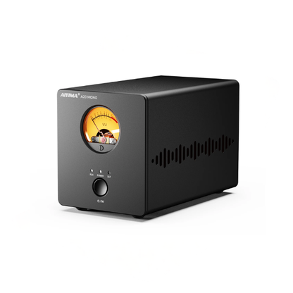 300W Class D Mono Power Amplifier with XLR RCA Input