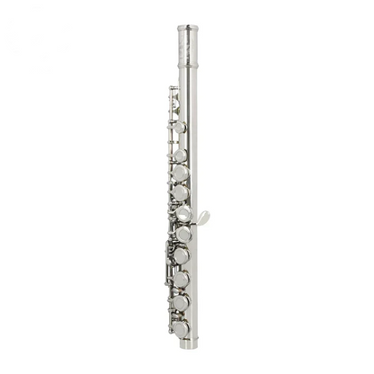 Professional C Key Flute with Case and Accessories