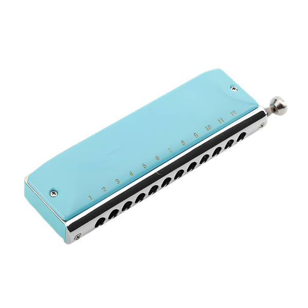Professional 48-Tone Chromatic Harmonica Key of C