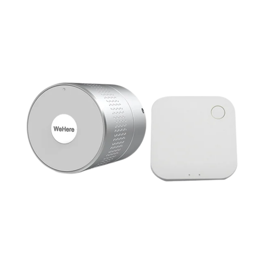 Outdoor Smart Lock with Tuya App and Weatherproof Design