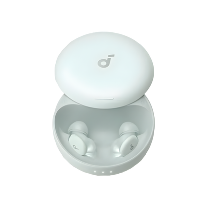 Smart Sleep Earbuds with Adaptive Snore-Masking