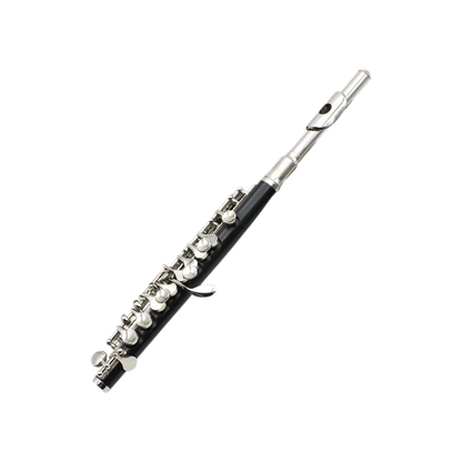 Silver Black Professional C Key Piccolo with Case and Accessories