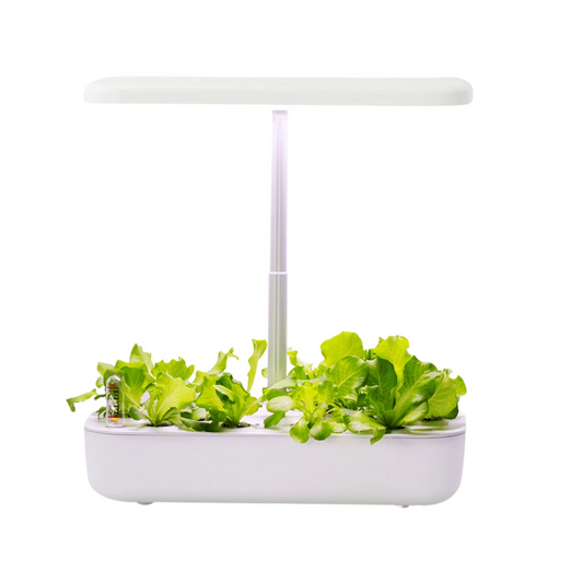White Indoor Soilless Planting Machine with LED Grow Light