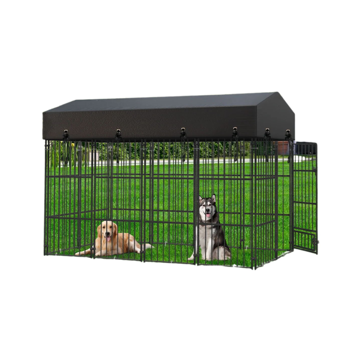 Spacious Large Dog Run Enclosure for Pets