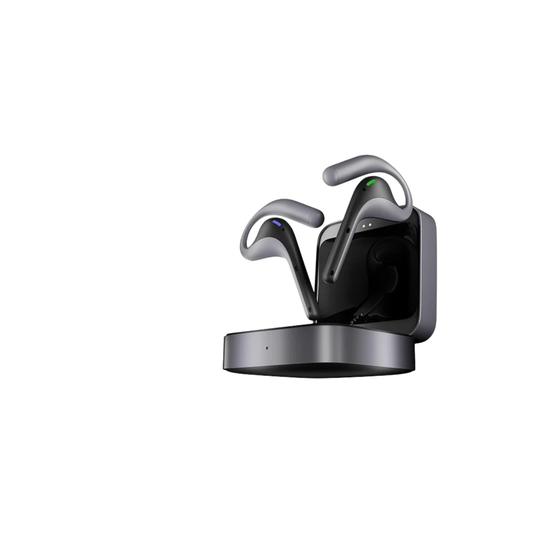 AI Translation Earbuds with Real-Time Bidirectional Interpreter