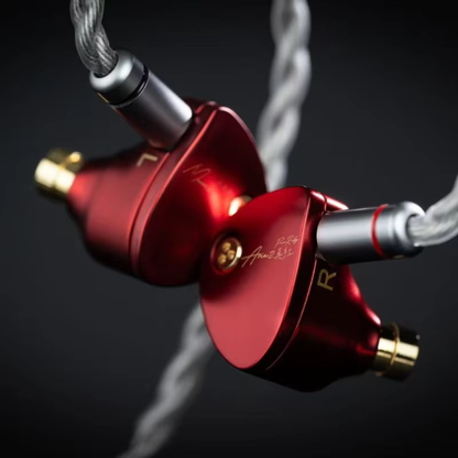 High Performance IEM Earphones with Detachable Cable