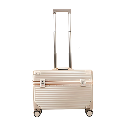 Portable 20 Inch Golden Aluminum Photography Luggage Bag