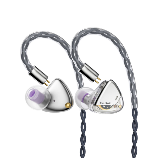 Silver HiFi In-Ear Earphones 10mm Driver Interchangeable Plug