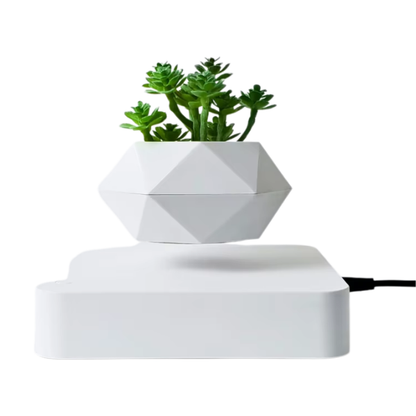 Floating Air Bonsai Planter with Magnetic Levitation