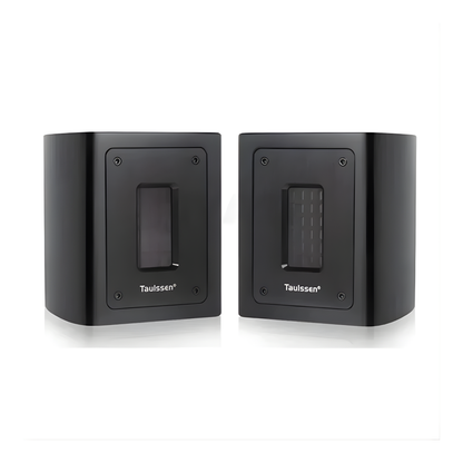 High-Frequency Super Tweeter Passive Audio Enhancer