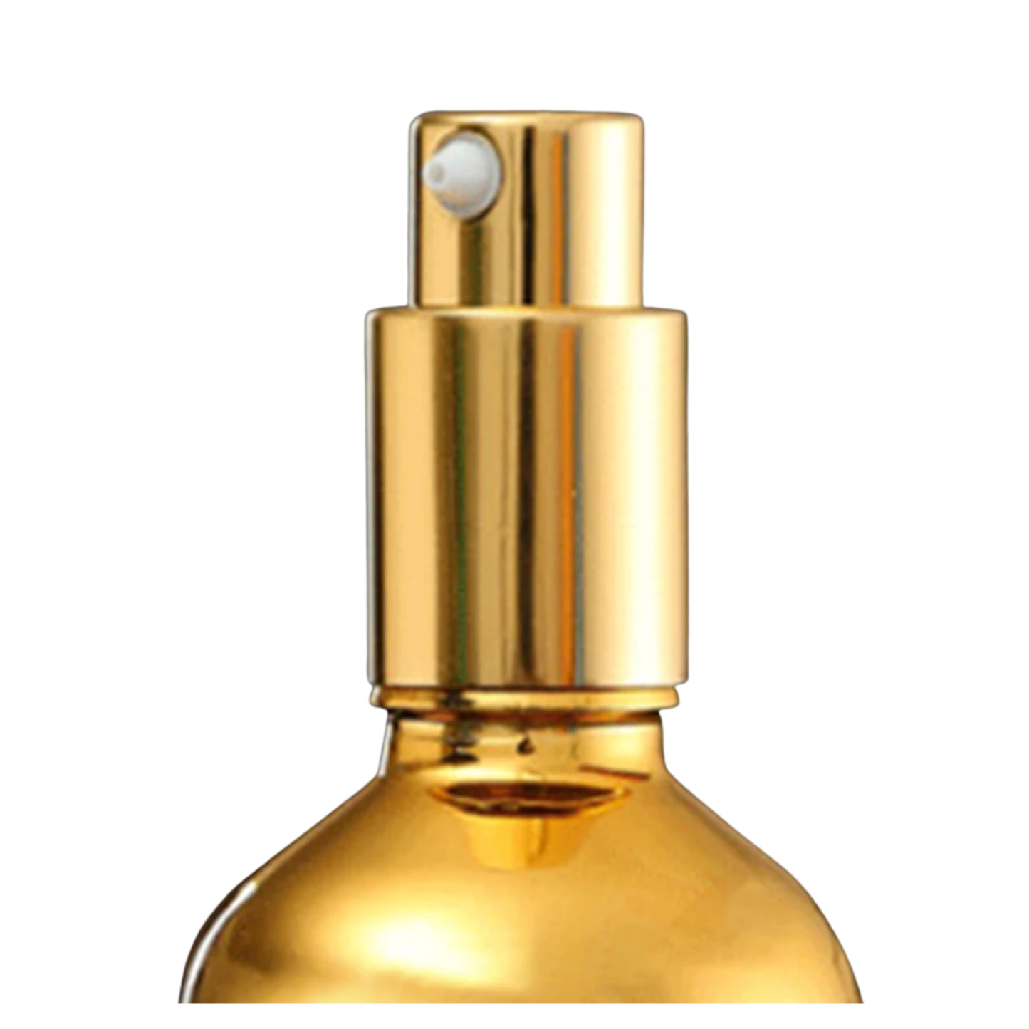 100ml Pump Bottle Refillable Lotion Shampoo Container