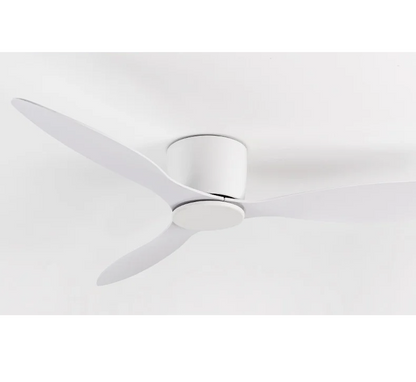 Low Profile Smart Ceiling Fan Light with Remote Nordic Style