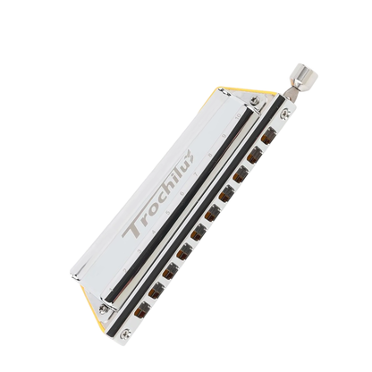 Portable Chromatic Harmonica 10-Hole for Beginners