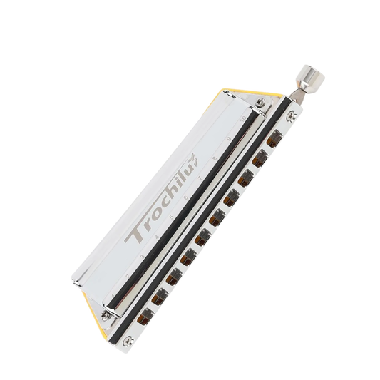 Portable Chromatic Harmonica 10-Hole for Beginners