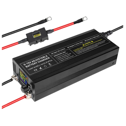 12V 100A Heavy Duty LiFePO4 Charger