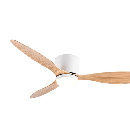Modern Ceiling Fan Light Flush Mount Smart Bedroom Lighting Fan