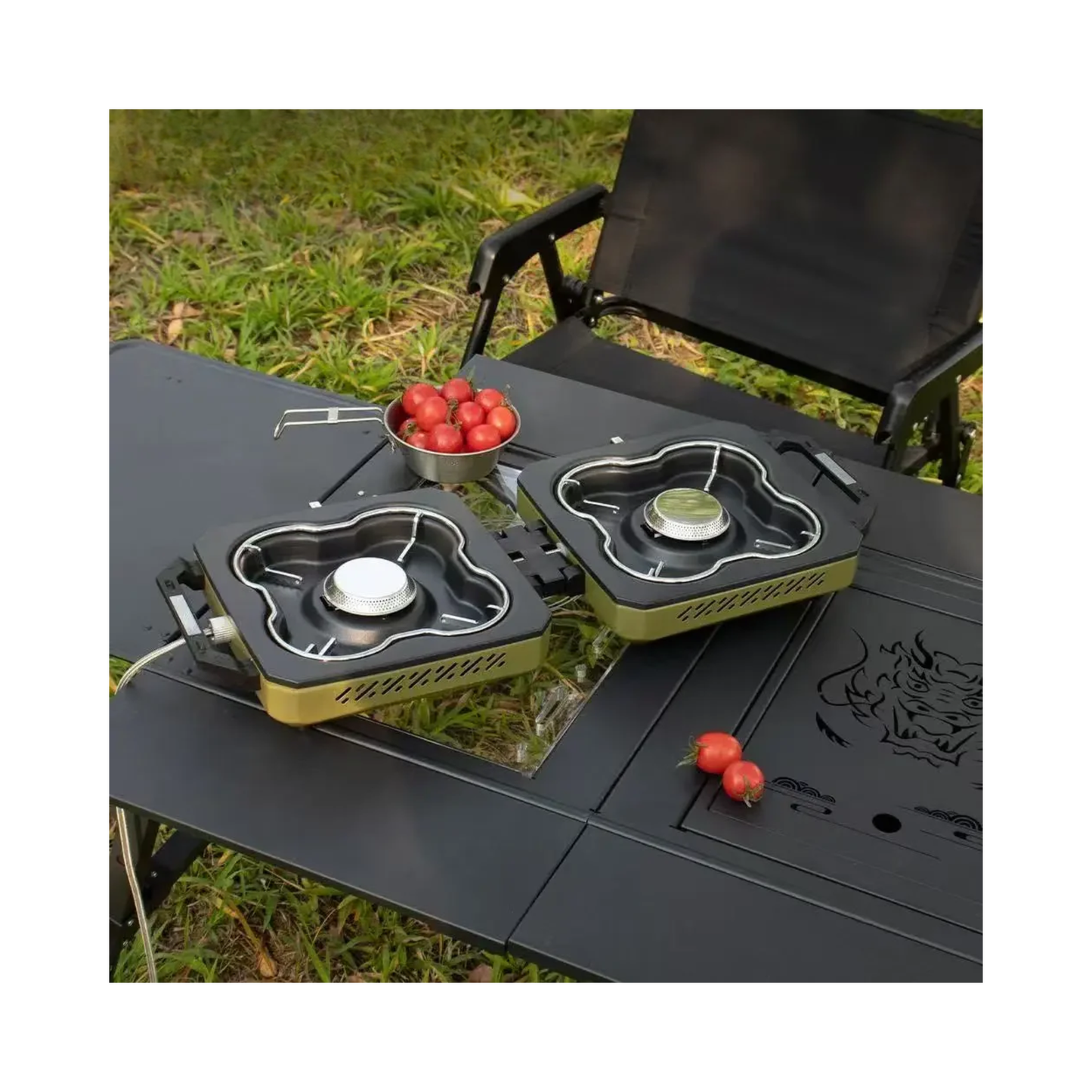 Portable Double Burner Camping Gas Stove High Heat Foldable