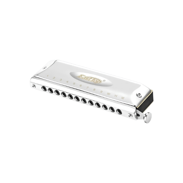Professional 12-Hole 48-Tone Chromatic Harmonica Low C