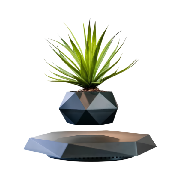 Floating Magnetic Levitation Plant Pot for Succulents