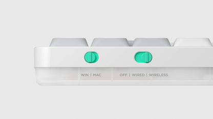 Portable Mechanical Keyboard 75% Layout Cowberry Switch